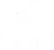 ZOM